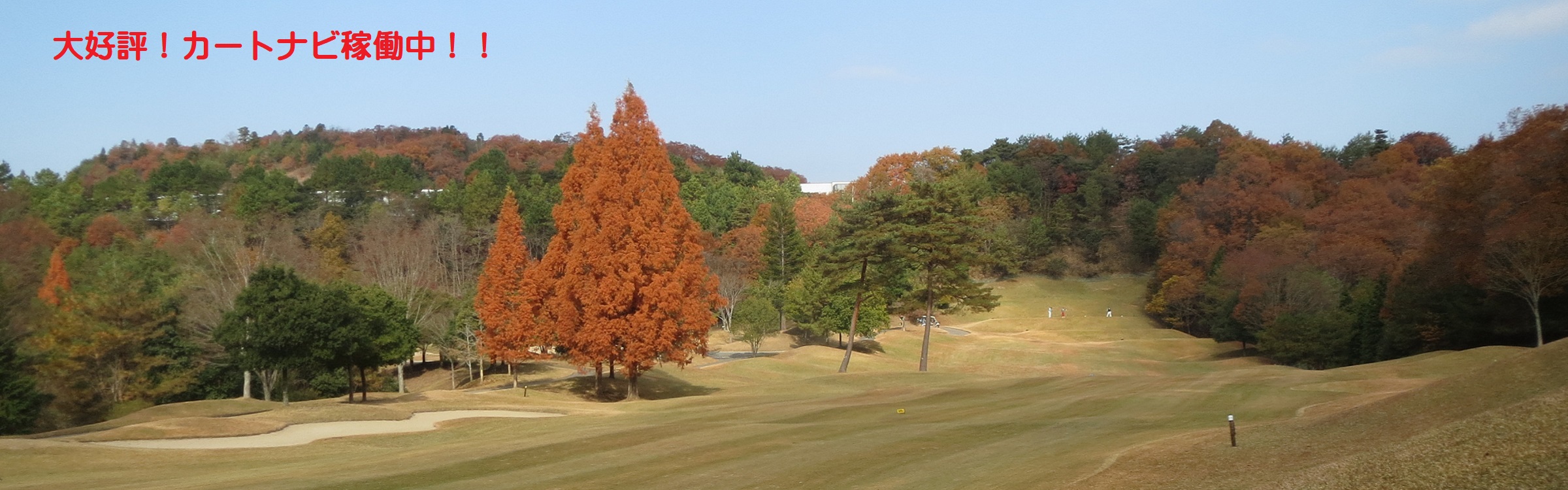 兵庫県 ゴルフ場 ストークヒルゴルフクラブ夏